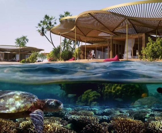 The Red Sea: Stars, Kayak & Diving